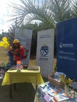 Actividad