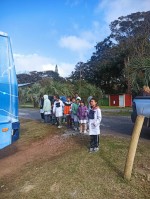 Actividad